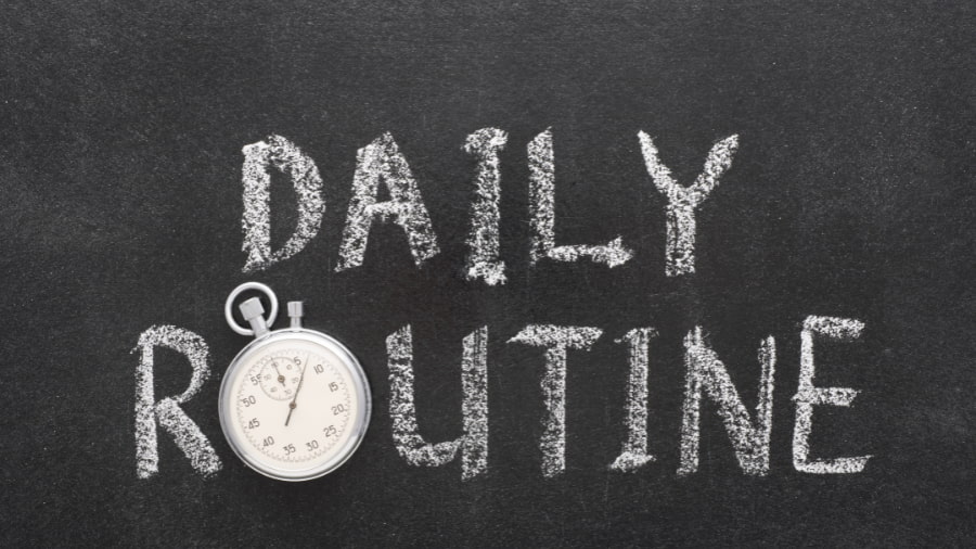Daily Routines