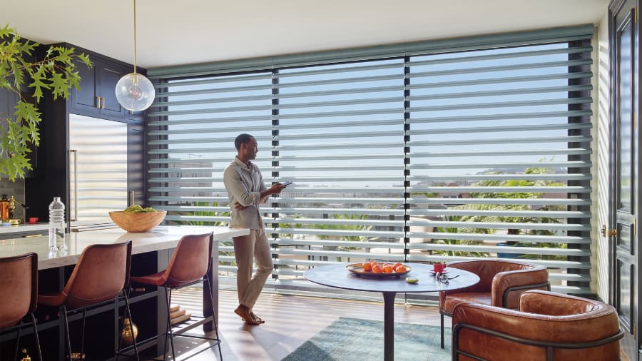 Smart Blinds and Shades – Privacy and Light Control